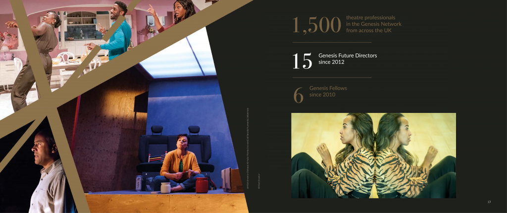 Young Vic Genesis Foundation stats